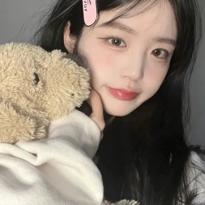 狮子狗行动