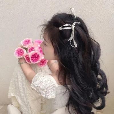 舒莎公主与捣乱剧团
